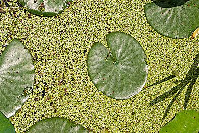 异世界动作冒险《Strayed Lights》公布 春季发售